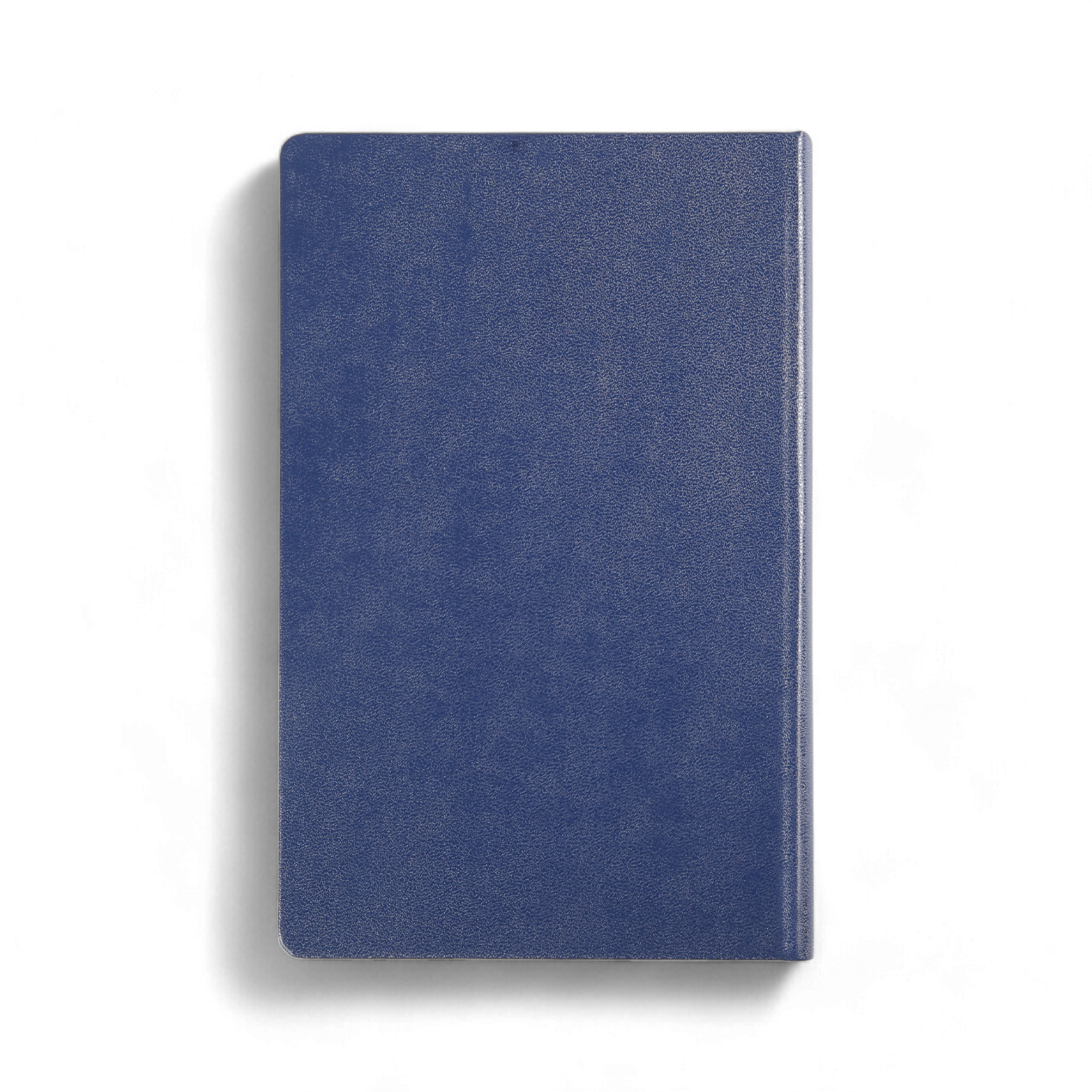 Notebook Refill – Lined & Blank Paper Inserts for A5 or Ring-Bound Notebooks